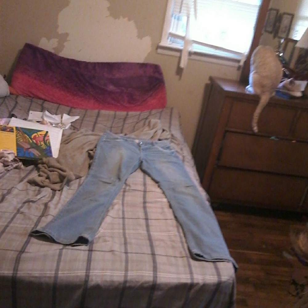 Pants